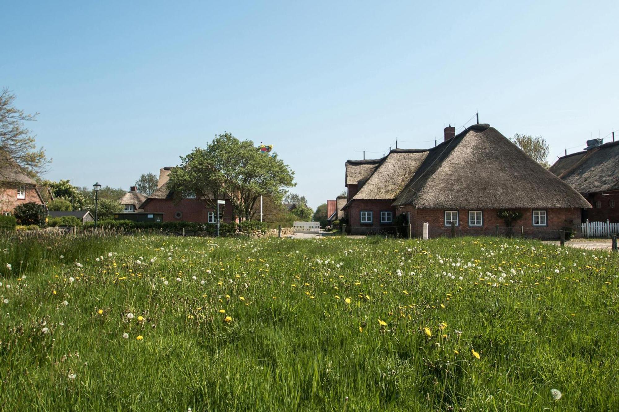 Reethus Gluecklicher Matthias Hausteil Waasterlun Oldsum エクステリア 写真